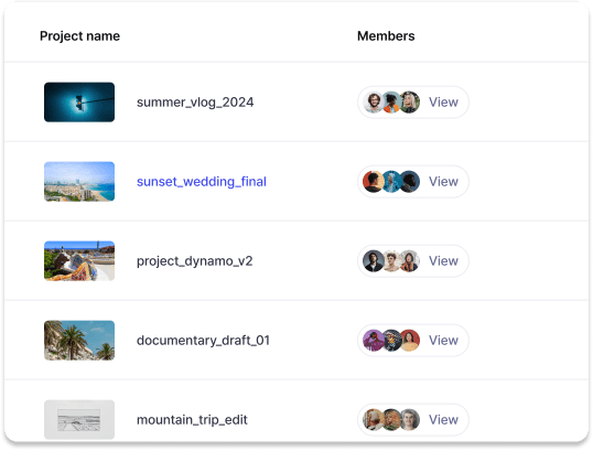 oversee every aspect of your projects